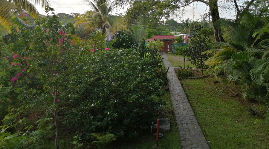 Costa Rica - Carabes - Auberge de jeunesse - Lentre - Vue 1