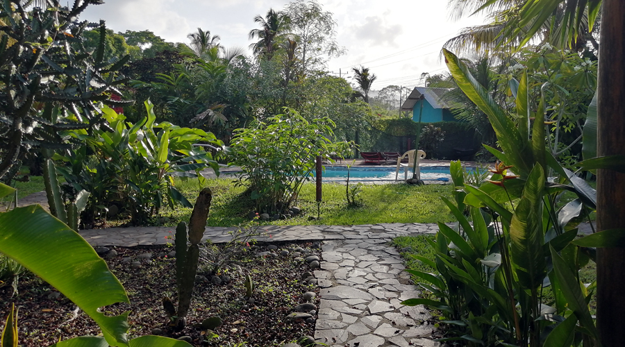 Costa Rica - Caraïbes - Auberge de jeunesse - Le jardin et la piscine