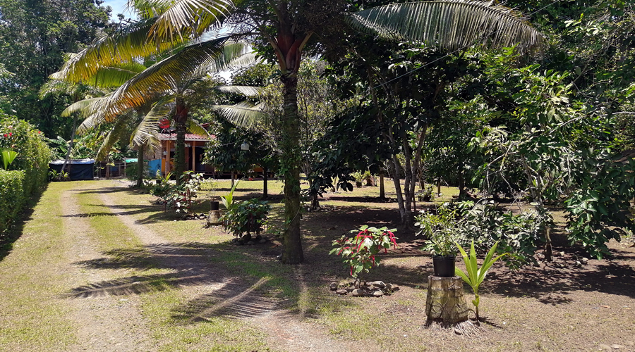 Costa Rica - Cte Carabe - Casa Tipica - Terrain - Vue 1