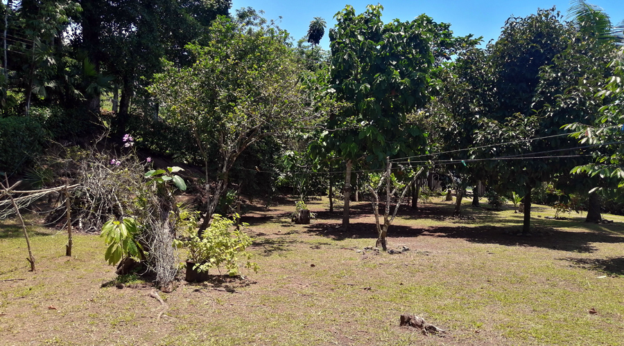 Costa Rica - Cte Carabe - Casa Tipica - Terrain - Vue 3