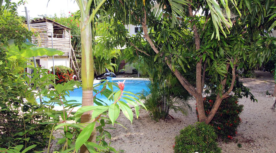 Costa Rica - Guanacaste - Samara - 2 casas - Le jardin et la piscine