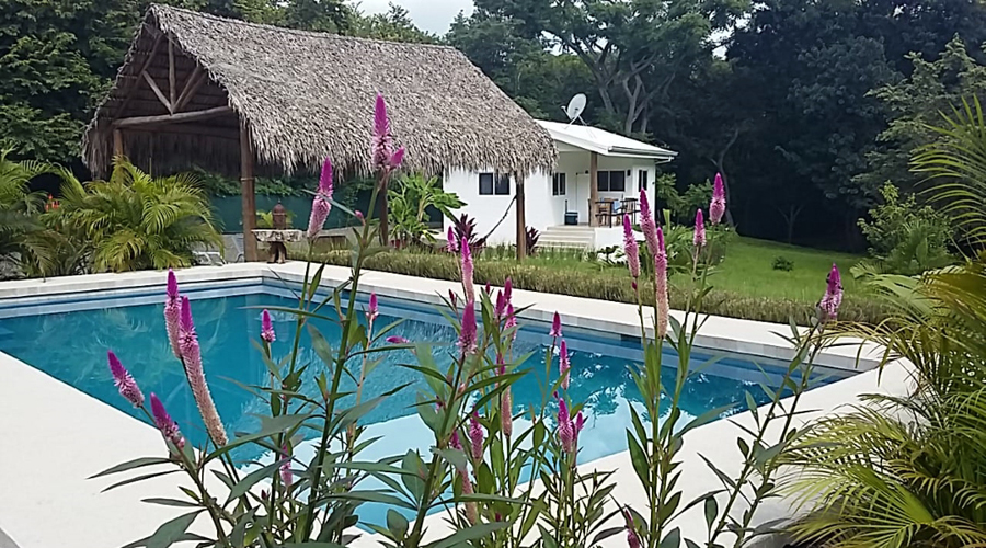 Costa Rica - Guanacaste - Tamarindo - Casa Blanca - Piscine - Vue 3