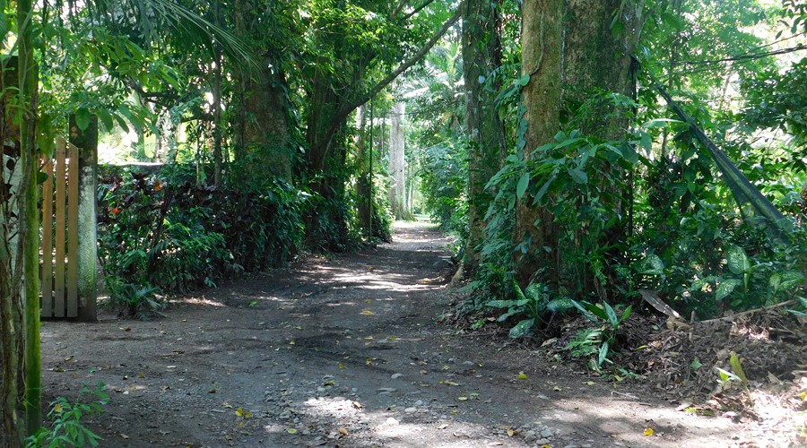 Costa Rica - Cahuita - Petite maison 1 chambre - Le sentier d'accs - Vue 1