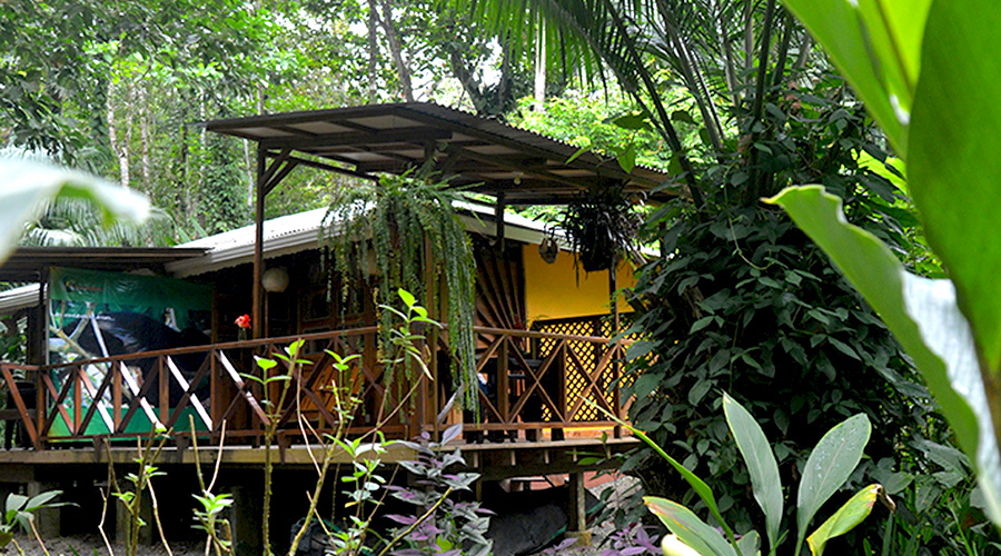 Costa Rica - Cte carabe - Lodge 5 maisons  300 mtres de la plage - Vue 2