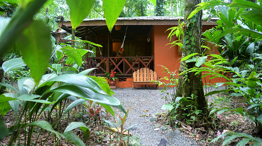 Costa Rica - Cte carabe - Lodge 5 maisons  300 mtres de la plage - Vue 15