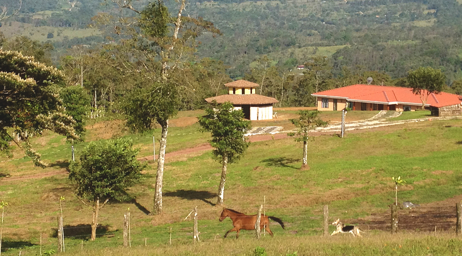 Frente a Rio Celeste