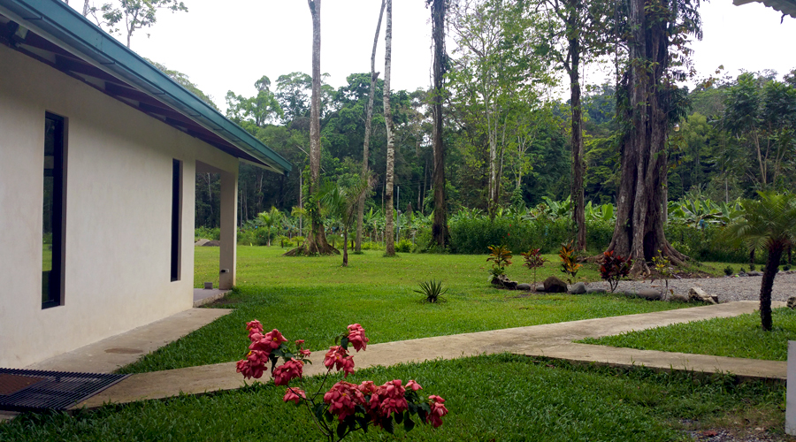 Costa Rica - Cahuita - Maison neuve 4 chambres - Une partie du parc de 3.000 m (possibilit 15.000 m)